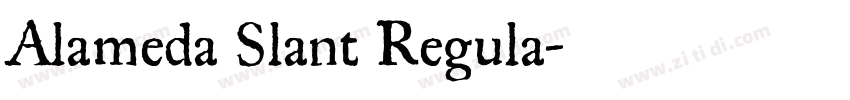 Alameda Slant Regula字体转换